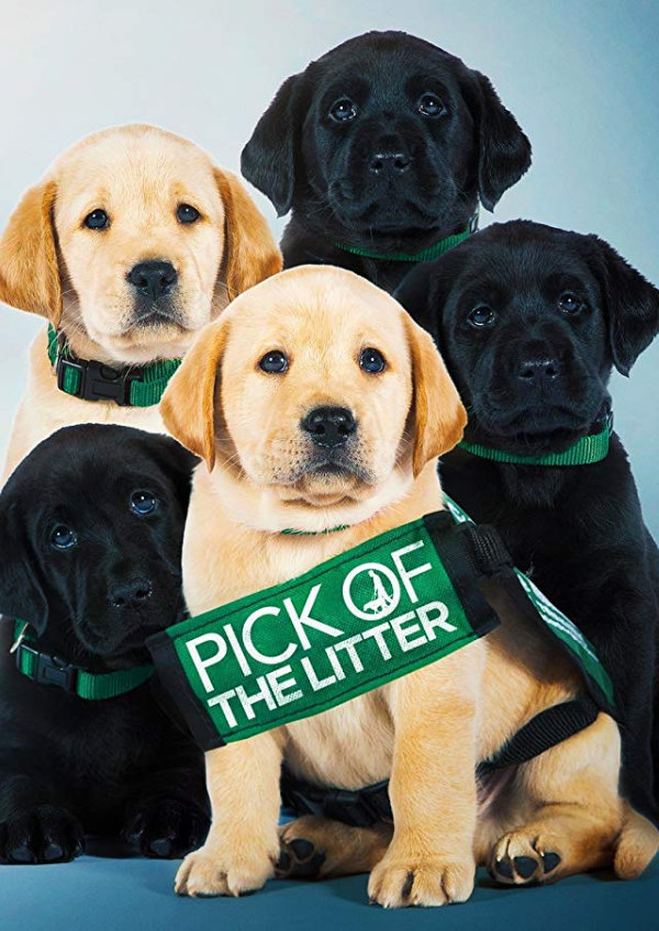 Pick Of The Litter showtimes