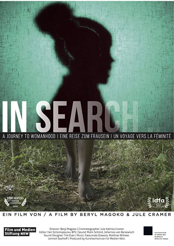 'In Search...' movie poster