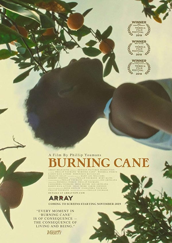 Burning Cane showtimes