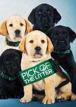 Pick Of The Litter showtimes