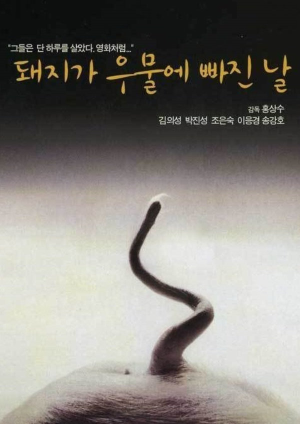 'The Day a Pig Fell Into the Well' movie poster