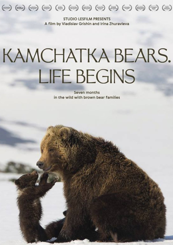 'Kamchatka Bears. Life Begins' movie poster
