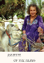 Juliette Of The Herbs showtimes