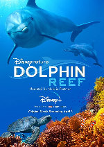Dolphin Reef showtimes