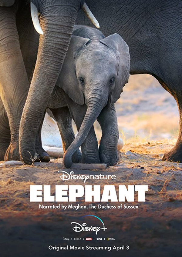 'Elephant' movie poster