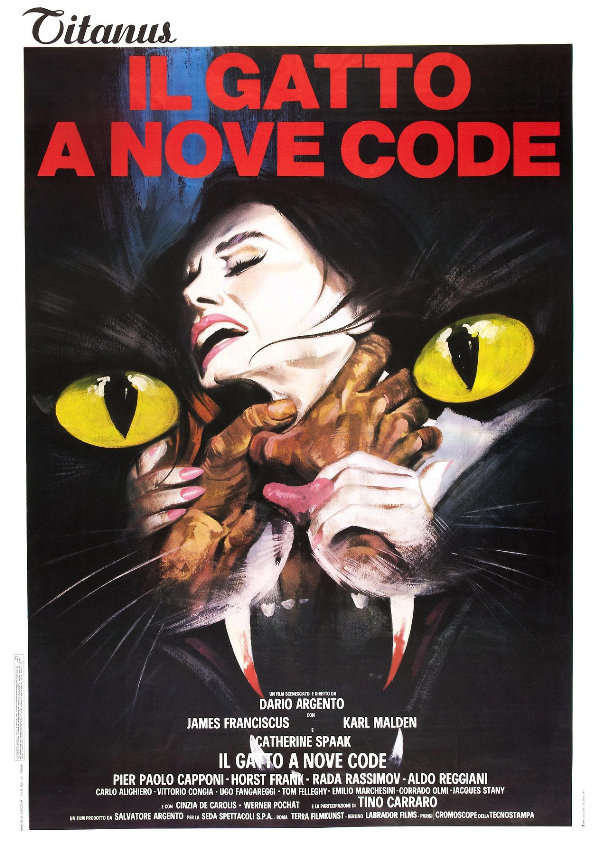 'The Cat O' Nine Tails' movie poster