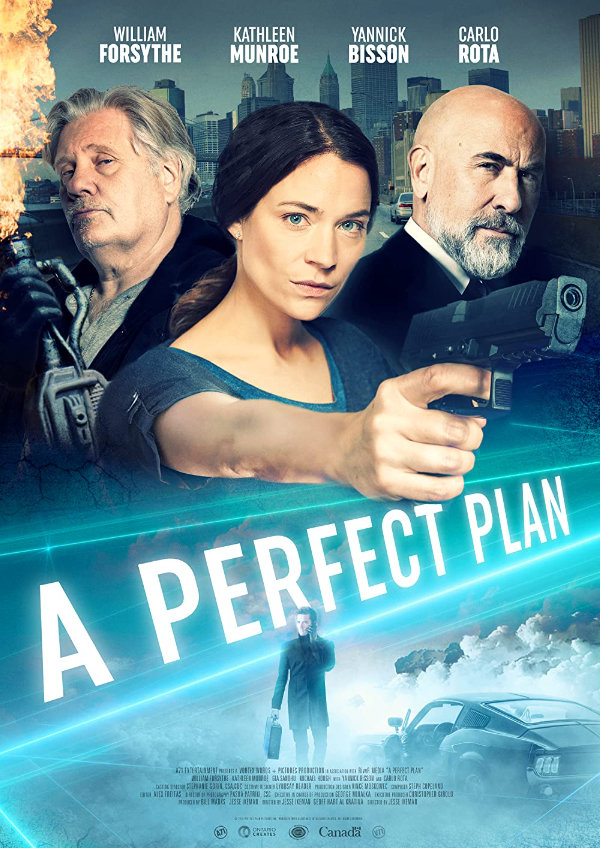 'A Perfect Plan' movie poster