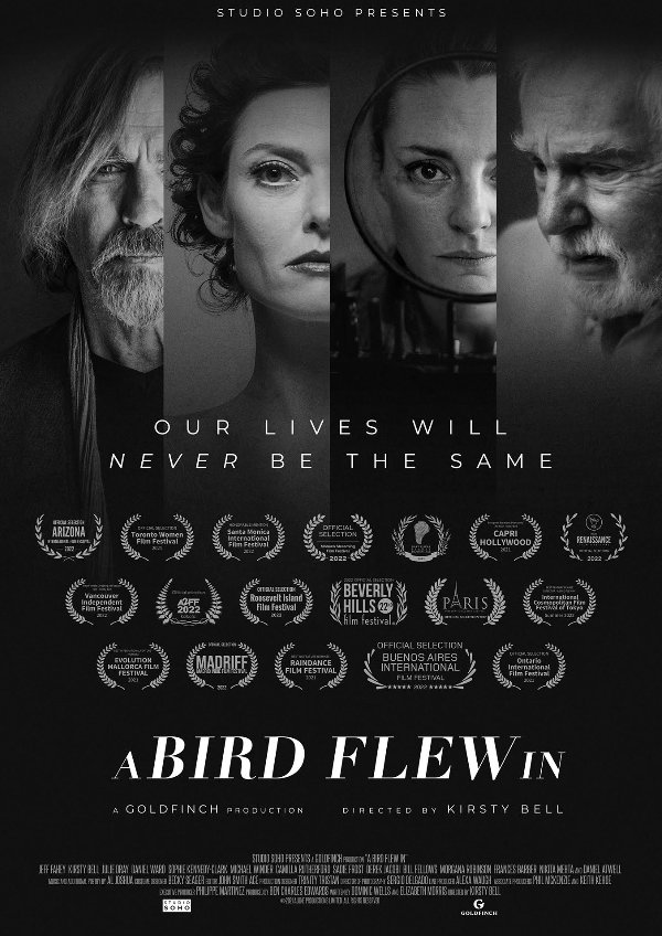 'A Bird Flew In' movie poster