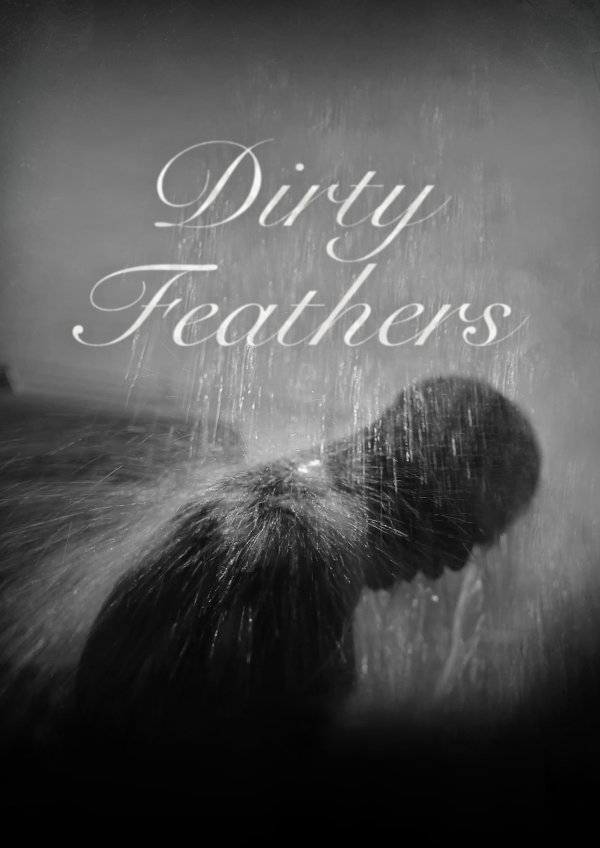 'Dirty Feathers' movie poster