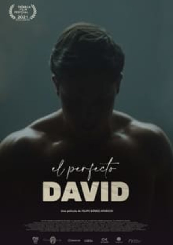 'The Perfect David' movie poster