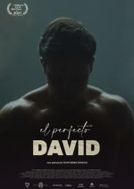 The Perfect David showtimes