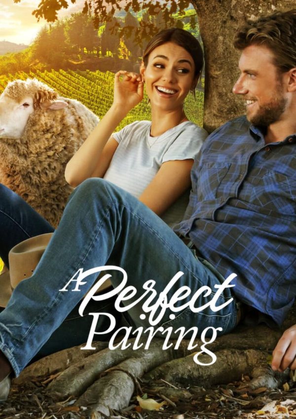 'A Perfect Pairing' movie poster