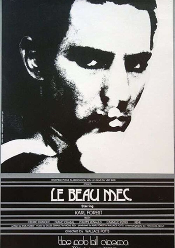 'Le Beau Mec' movie poster