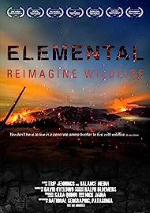 Elemental Reimagine Wildfire showtimes in London